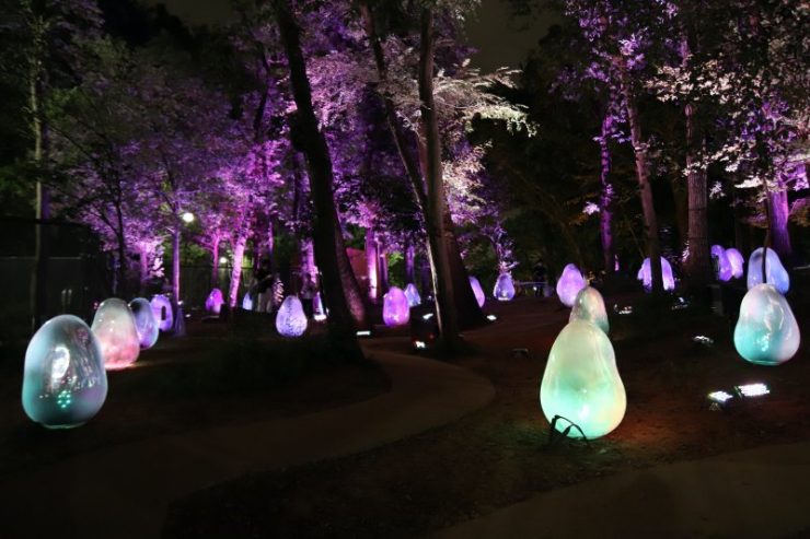 Teamlab