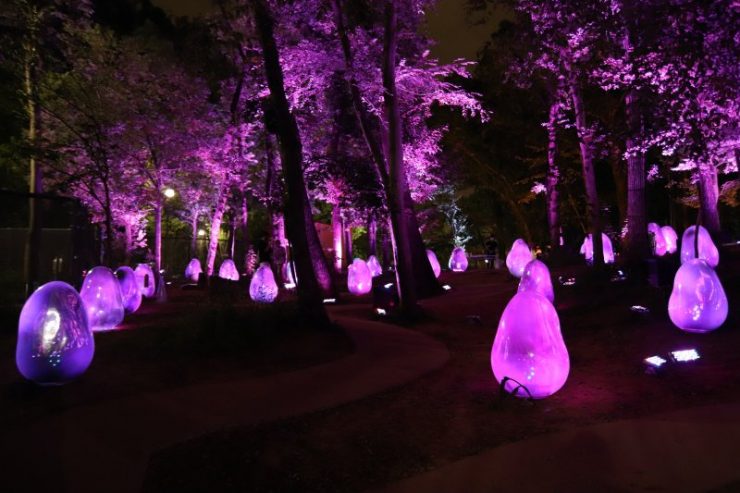 Teamlab