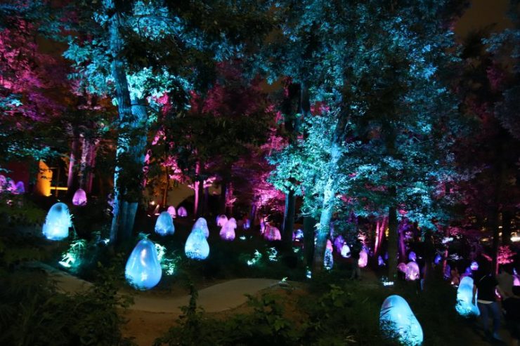 Teamlab