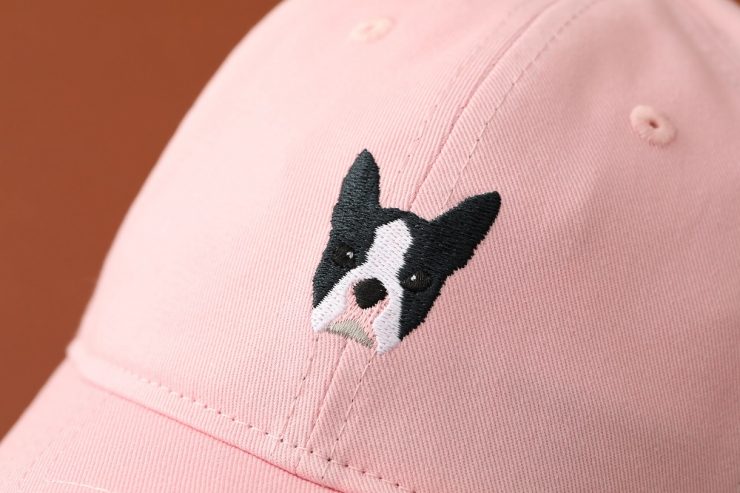 法國鬥牛犬的可愛模樣
