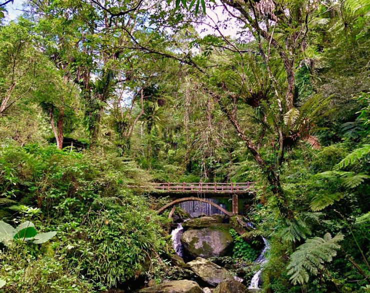 雲仙樂園