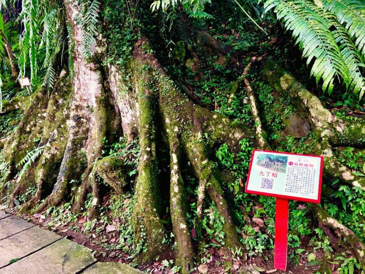 雲仙樂園