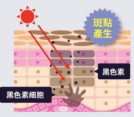 2021美白精華液推薦「Brater保濕精華」