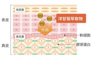 2021美白精華液推薦「Brater保濕精華」