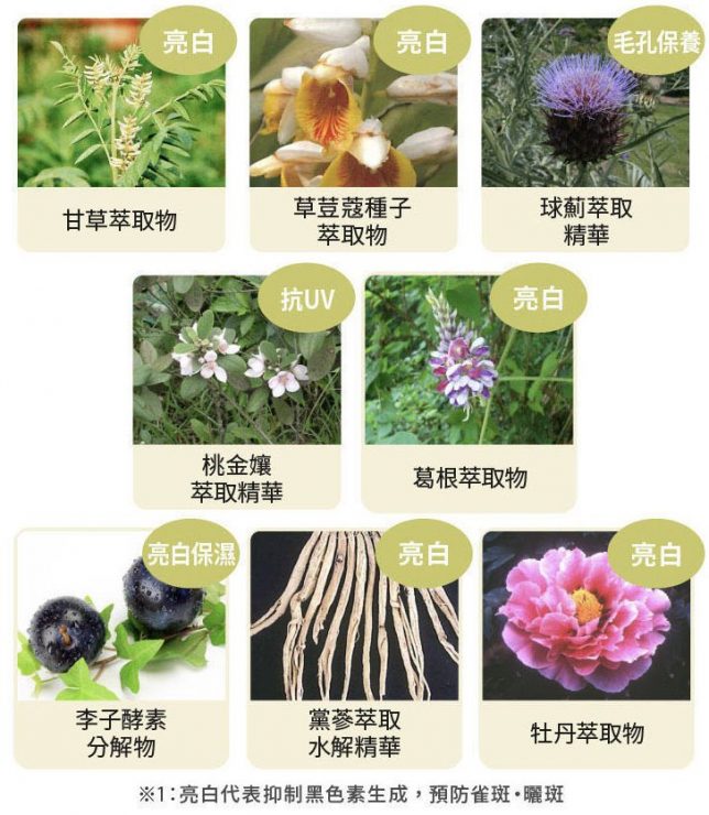 2021美白精華液推薦「Brater保濕精華」