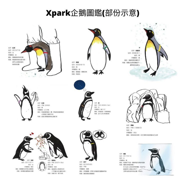xpark水族館