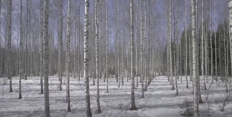 童顏有機隱形面膜