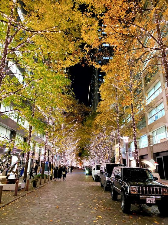 東京聖誕裝飾
