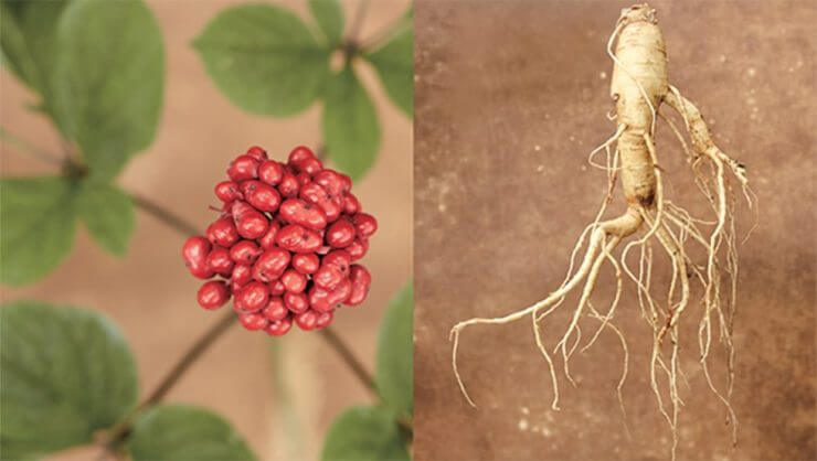 頭皮癢 頭皮屑 去屑止癢洗髮精 頭皮癢 洗髮精 頭皮發炎怎麼辦 頭皮癢 洗髮精推薦 頭皮癢頭皮發炎怎麼辦 頭髮梳子推薦5