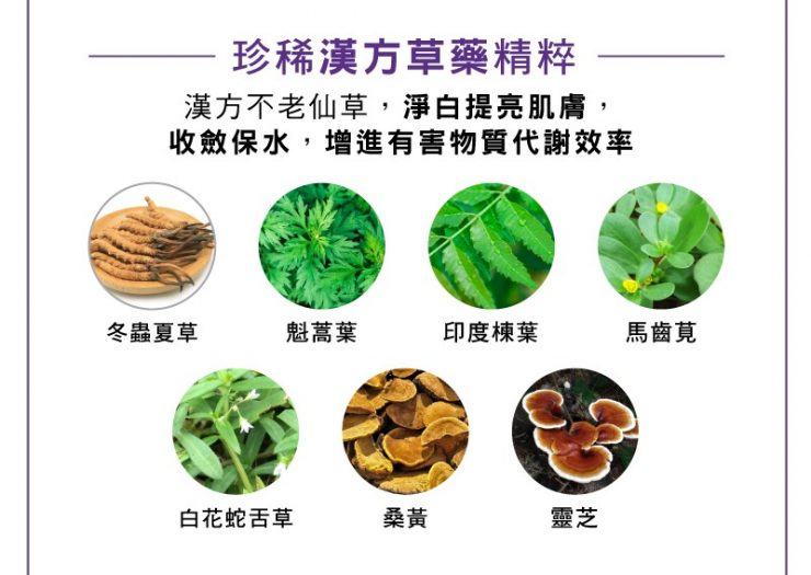 積雪草極致線雕晚安凍膜