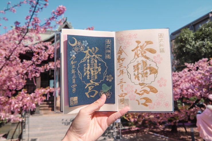 東京河津櫻必看景點推薦-櫻神宮