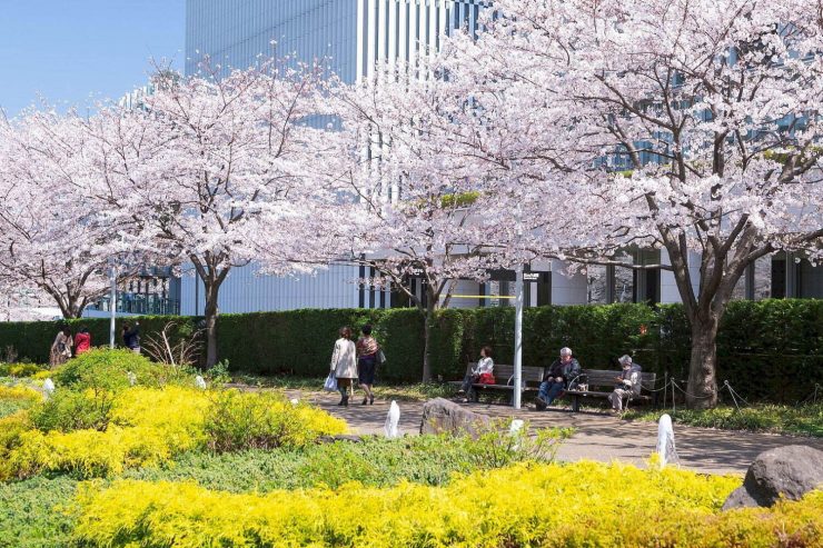 日本賞櫻 日本賞梅 日本賞櫻花 日本賞梅花 日本賞櫻秘境 日本賞梅秘境 賞日本賞花 日本賞櫻推薦 日本賞梅推薦 日本賞花景點 東京賞櫻 東京賞梅 東京賞花7