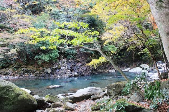 箱根泡湯溫泉推薦