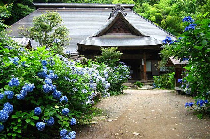 箱根泡湯溫泉推薦