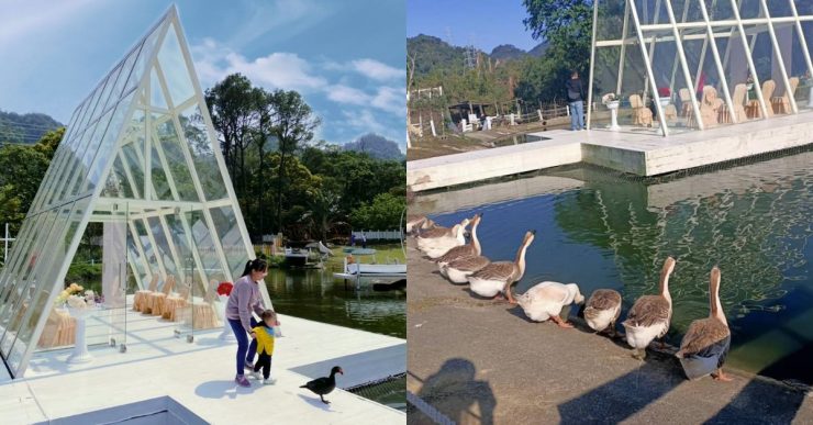 桃園親子旅遊景點推薦 桃園平鎮景點推薦 桃園景點推薦 桃園觀光推薦 平鎮旅遊推薦 親子旅遊推薦 桃園親子旅遊推薦 4