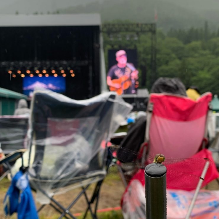 fuji rock日本最大音樂祭