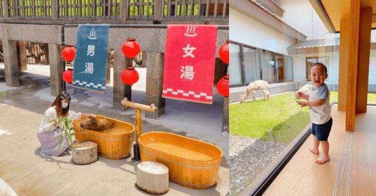 宜蘭親子旅行推薦 親子旅行推薦 宜蘭旅遊推薦 宜蘭旅遊 宜蘭住宿 宜蘭飯店推薦 宜蘭住宿推薦 3