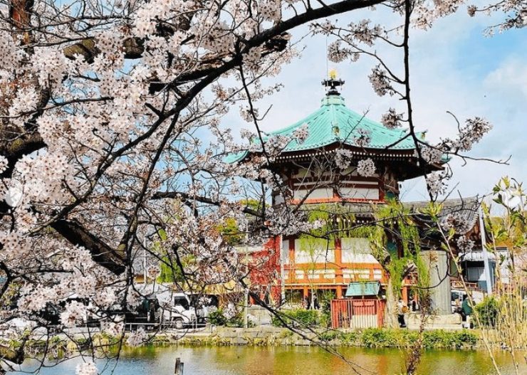 東京上野恩賜公園1