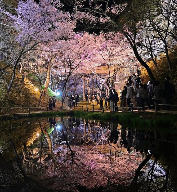 高遠城址公園1