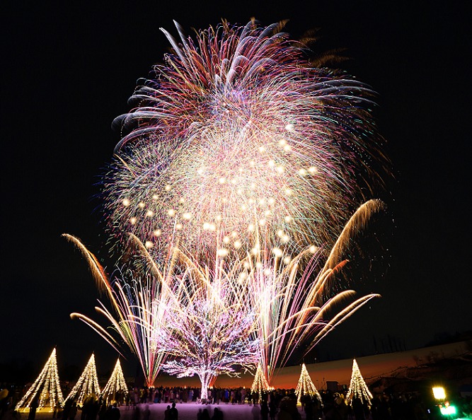 長岡祭大煙火大會1
