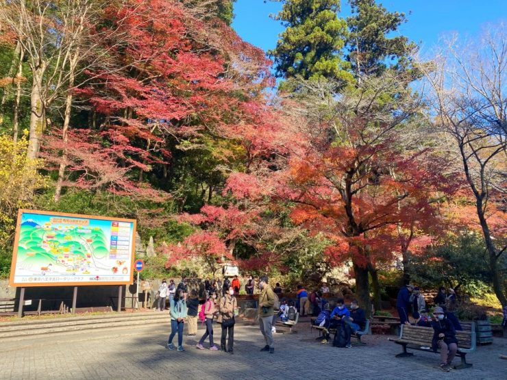 東京賞紅葉景點推薦