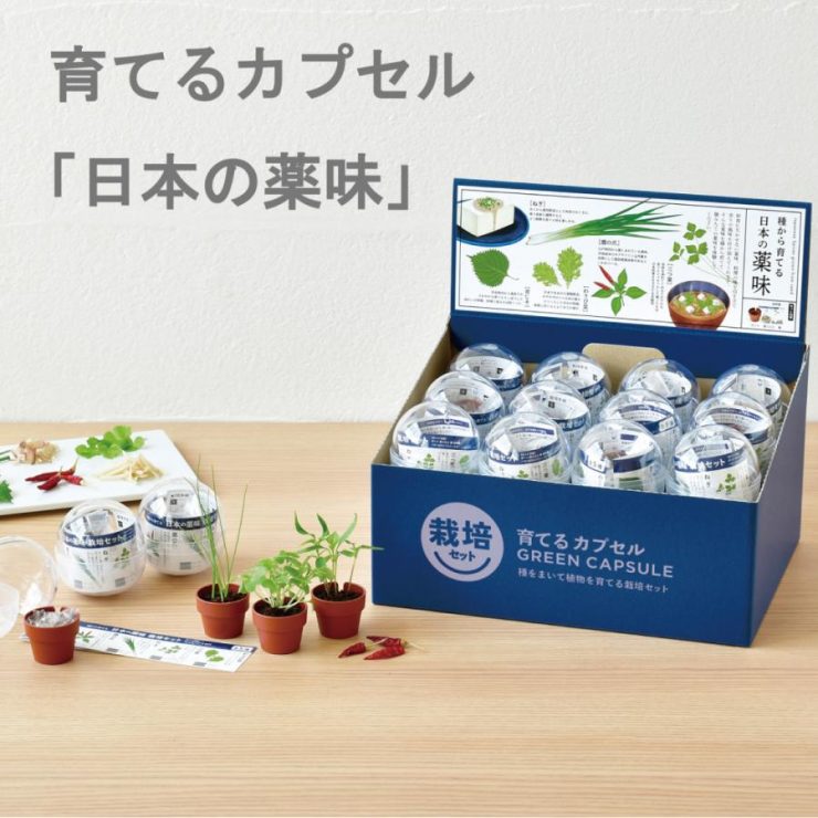 盆栽 日本聖誕節 聖誕節交換禮物 聖誕節禮物 聖誕禮物 聖誕節 禮物推薦 日本聖誕 日本聖誕節推薦 6