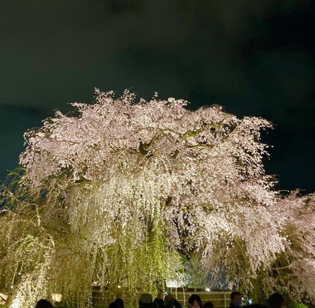 圓山公園1