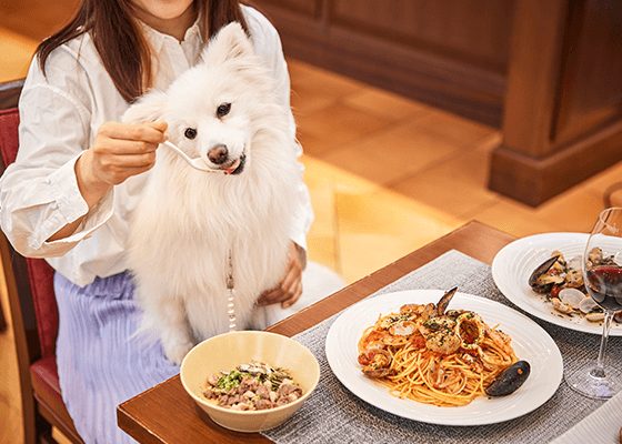 9東京新飯店 東京新開幕飯店 新開幕東京飯店 全新飯店東京 東京全新飯店 2022年開幕飯店 2022年新飯店 inumo芝公園