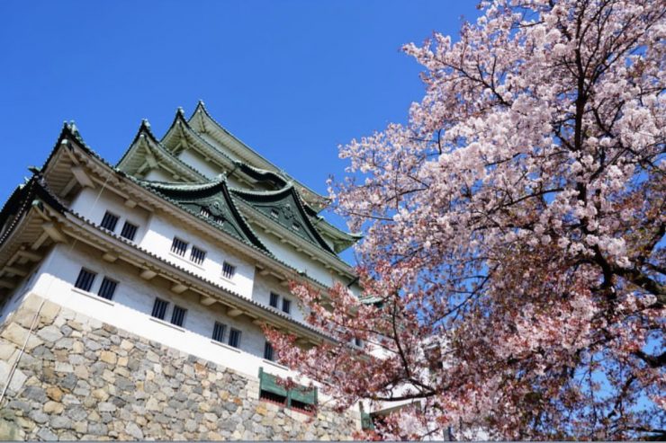 大阪櫻花 大阪賞櫻 大阪賞櫻推薦 大阪櫻花推薦 日本大阪櫻花勝地 日本大阪櫻花 日本大阪賞櫻 賞櫻大阪 1