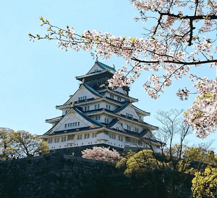 大阪櫻花 大阪賞櫻 大阪賞櫻推薦 大阪櫻花推薦 日本大阪櫻花勝地 日本大阪櫻花 日本大阪賞櫻 賞櫻大阪 大阪城