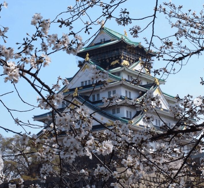 大阪櫻花 大阪賞櫻 大阪賞櫻推薦 大阪櫻花推薦 日本大阪櫻花勝地 日本大阪櫻花 日本大阪賞櫻 賞櫻大阪 大阪城1