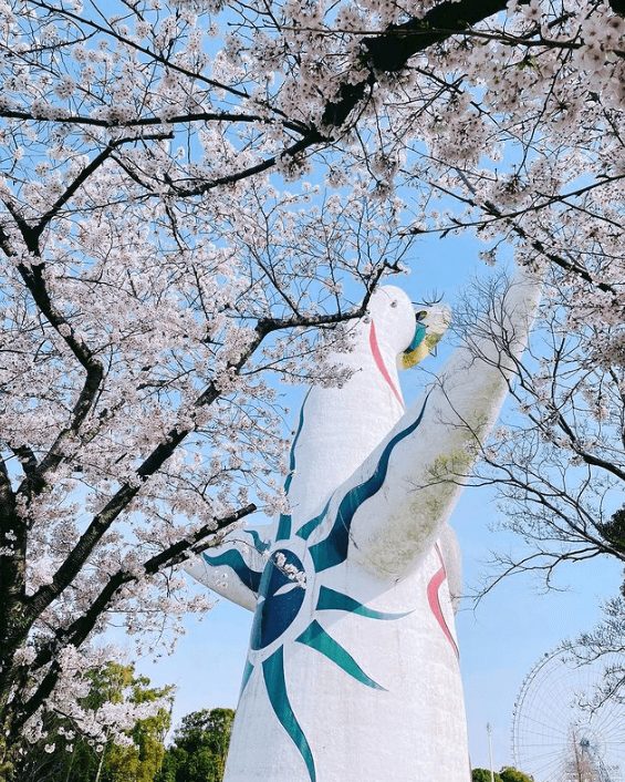 大阪櫻花 大阪賞櫻 大阪賞櫻推薦 大阪櫻花推薦 日本大阪櫻花勝地 日本大阪櫻花 日本大阪賞櫻 賞櫻大阪 總寺院四天王寺萬博紀念公園1