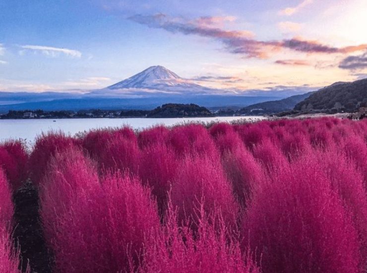 富士山景觀 富士山景點推薦 拍富士山 富士山拍照地 富士山景點 看得到富士山 富士山美景 河口湖自然生活館