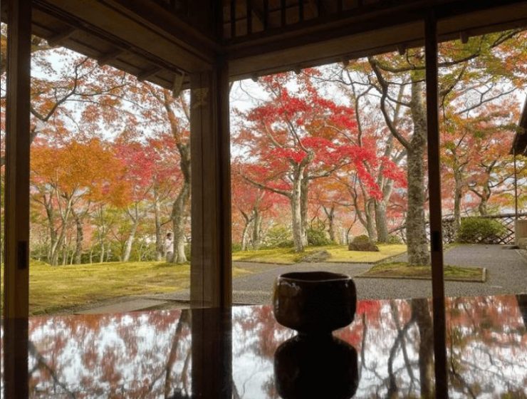 箱根觀光 箱根旅行 箱根景點 箱根必去 箱根溫泉 箱根海賊船 大涌谷 箱根美術館