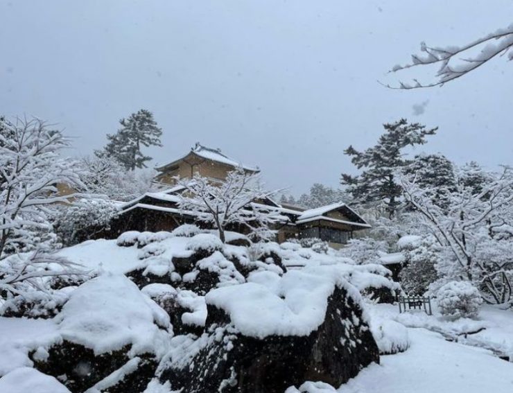 箱根觀光 箱根旅行 箱根景點 箱根必去 箱根溫泉 箱根海賊船 大涌谷 箱根美術館1