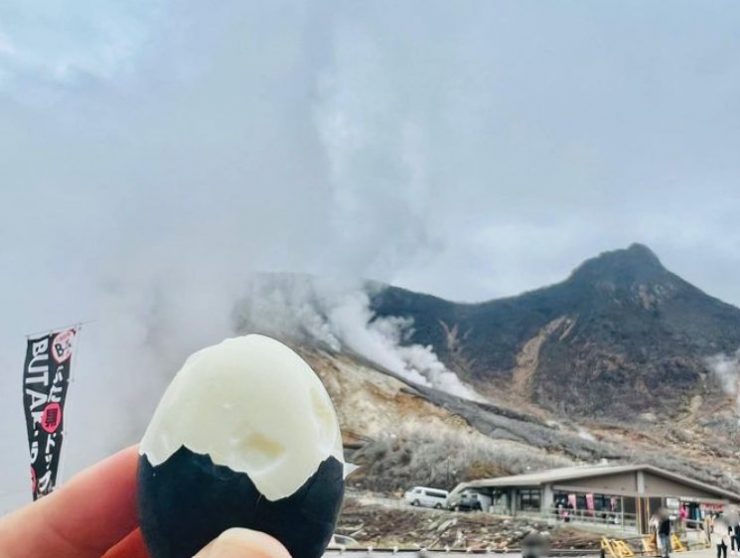 箱根觀光 箱根旅行 箱根景點 箱根必去 箱根溫泉 箱根海賊船 大涌谷