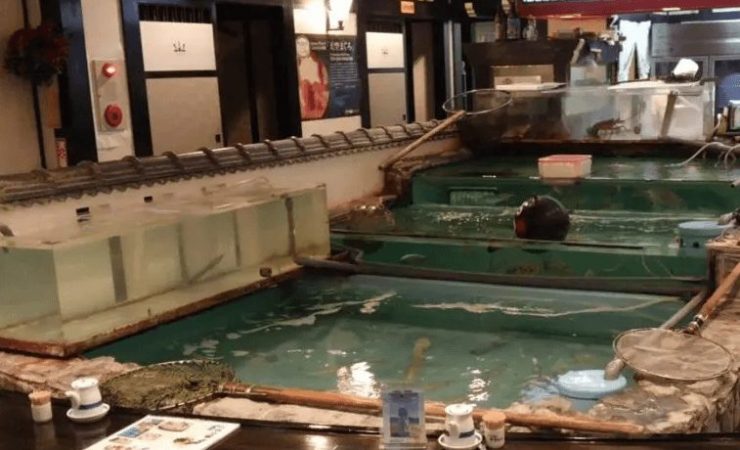 天草地魚1熊本美食 熊本站 熊本車站 熊本馬肉 熊本和牛 熊本餐廳 熊本在地美食 熊本交通png