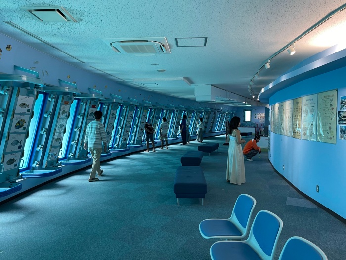 宮古島觀光推薦
