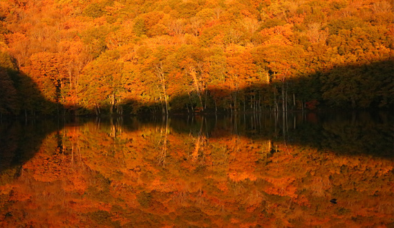 城倉大橋紅葉