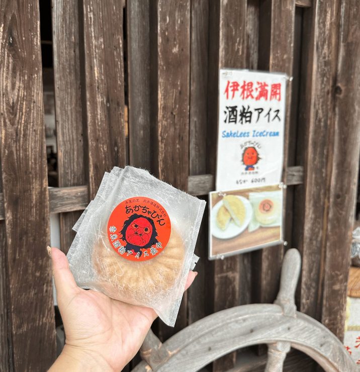 天橋立 京都伊根 京都伊根灣 京都旅行 日本三景 伊根天橋立 伊根舟屋24