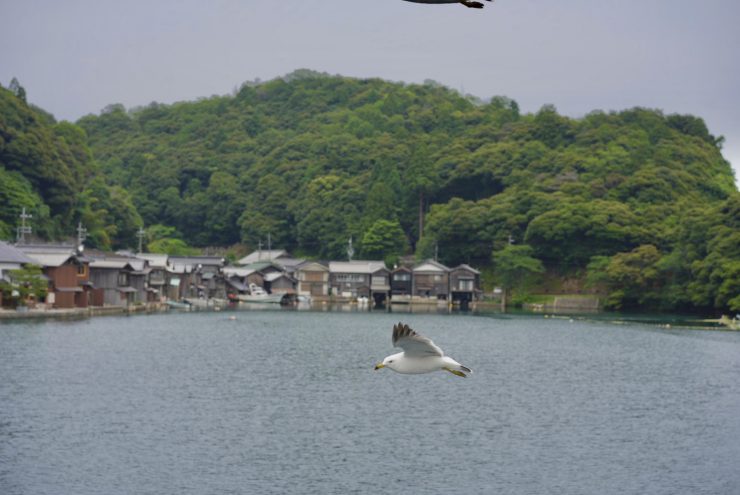 天橋立 京都伊根 京都伊根灣 京都旅行 日本三景 伊根天橋立 伊根舟屋63