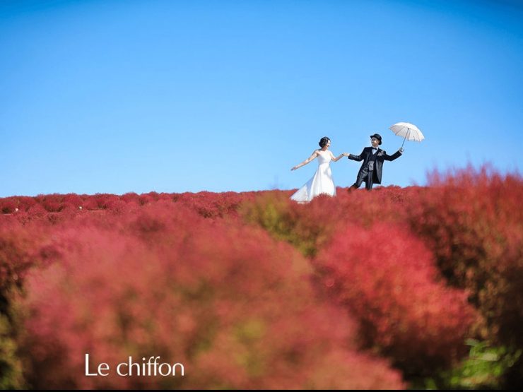 日本婚紗 日本拍婚紗 日本婚攝 日本婚紗攝影 日本攝影師 日本拍婚紗價格5.41