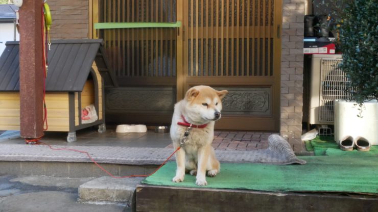 群馬住宿 群馬縣民宿 群馬住宿推薦 草津住宿推薦 草津溫泉 草津溫泉住宿95