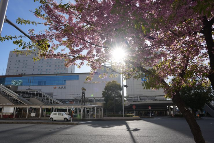 愛知縣觀光 愛知縣住宿 愛知旅行 愛知住宿推薦 名古屋旅行推薦 名古屋住宿推薦6175
