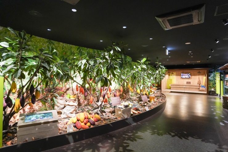 北海道札幌必去景點新推薦！ROYCE'CACAO&CHOCOLATE TOWN 巧克力工廠6