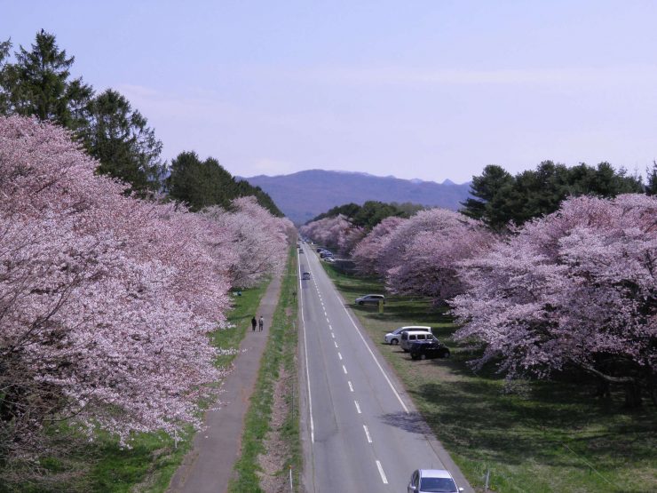 北海道旅遊 北海道觀光 北海道景點推薦 北海道觀光推薦 北海道必去 北海道必吃 32