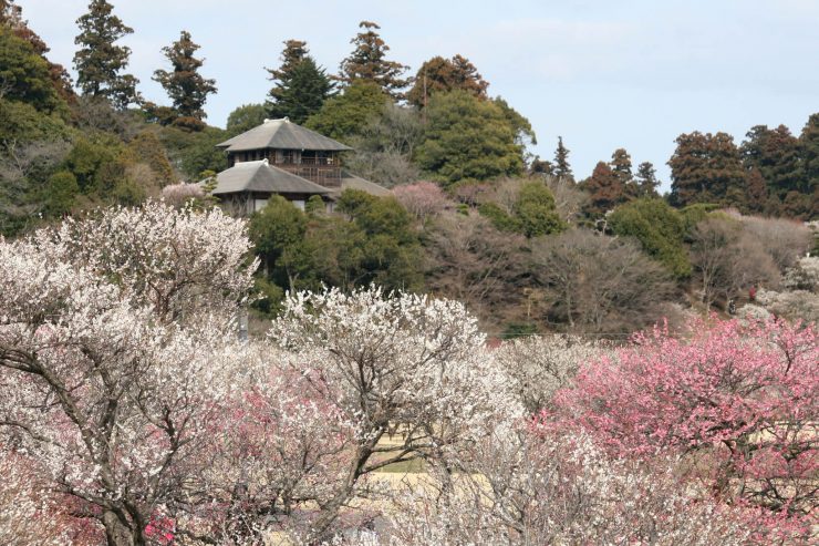 茨城縣 茨城縣觀光 茨城縣旅遊 茨城縣景點推薦 茨城觀光 茨城旅遊 茨城景點19.29