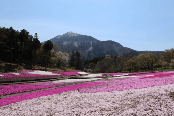 埼玉縣 埼玉縣觀光 埼玉縣旅遊推薦 埼玉縣 埼玉旅遊 埼玉縣景點1.52