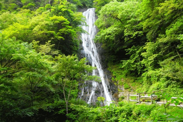 埼玉縣 埼玉縣觀光 埼玉縣旅遊推薦 埼玉縣 埼玉旅遊 埼玉縣景點1