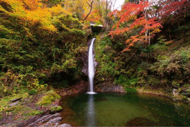 埼玉縣 埼玉縣觀光 埼玉縣旅遊推薦 埼玉縣 埼玉旅遊 埼玉縣景點8.53